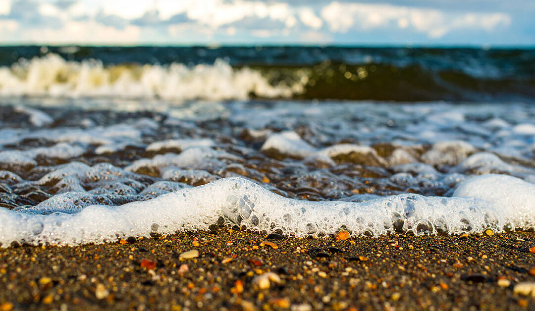 Sermon: Waters of Aloha