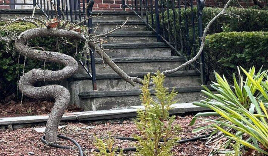 Sermon, What Grows Here?