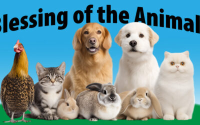 Blessing of the Animals