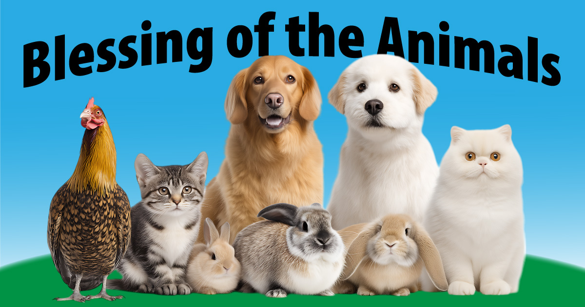 Blessing of the Animals text with chicken, cats, dogs, and rabbits in the foreground
